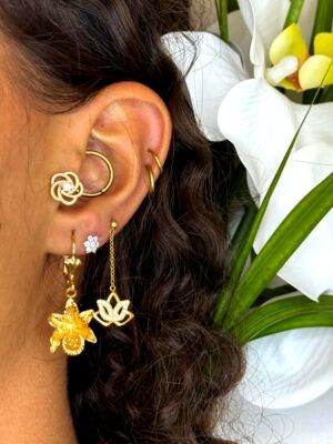 Boucles d'oreilles 